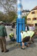 Maibaum18.jpg